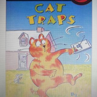 Cat traps课文朗读