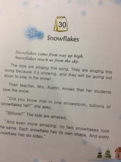 3-30 Snowflakes