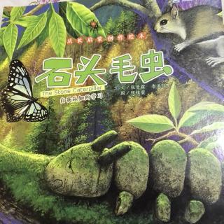 （石头毛虫🐛+动物讲解👩🏻‍🏫👩🏼‍🎓）