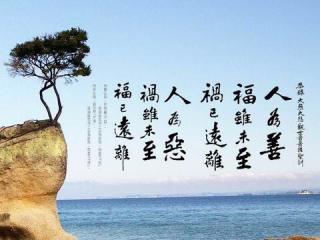 杨式太极第六代传人王新华演练二十八式太极拳动作口令
