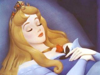 赛锐思睡前故事《玫瑰公主》