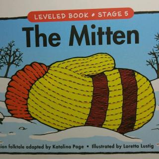 the mitten