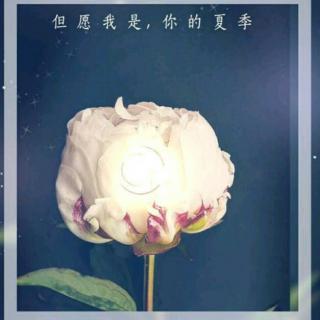 《但愿我是，你的夏季》狄金森