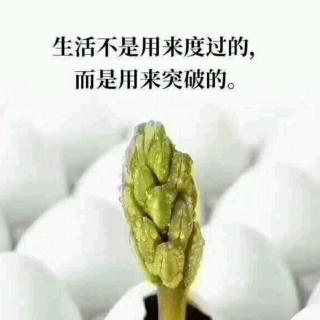 活一百岁并不难