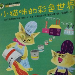 小猫咪的彩色世界