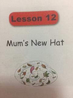 1b-L12 Mum's new hat