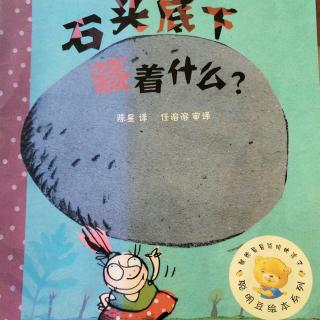 《石头底下藏着什么？》