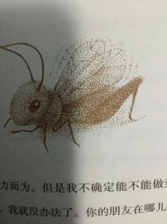 冬日的蟋蟀🦗—10这就是全部上