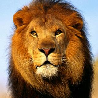 【麦哨】在线收听_张燕萍🎀_荔枝