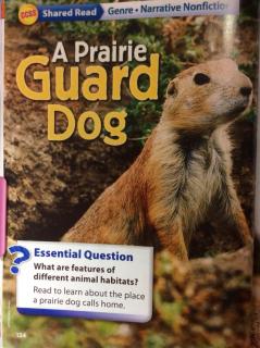 G2 workshop U2W3 - A Prairie Guard Dog