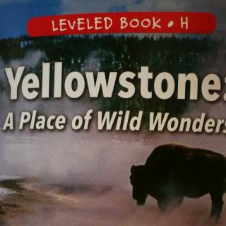 20180523RAZ H Yellowstone