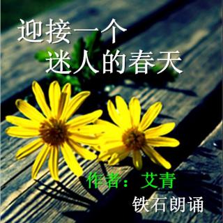 【迎接一个迷人的春天】   铁石朗诵