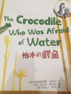 Coco夜读 Day120 怕水的鳄鱼（上）The crocodile who was afraid of water.