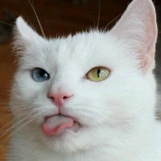 【努力生活,明天会更好】在线收听_manzira的播客_荔枝