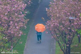 散文：山雨