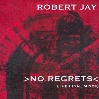 Robert Jay ：From Disco to Disco RMX