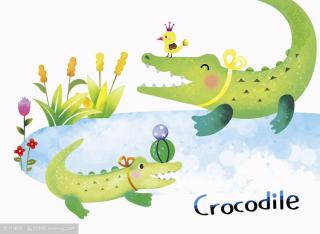 Coco夜读 Day121 怕水的鳄鱼（下）
