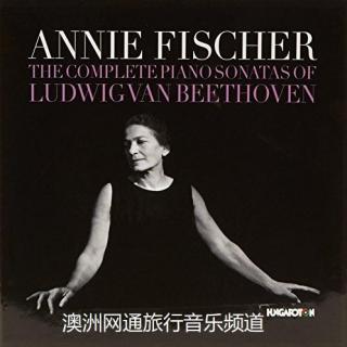 贝多芬最杰出的五大钢琴奏鸣曲之一《悲怆》安妮·费舍尔演奏精品