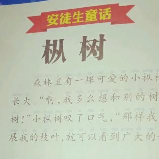 睡前故事192《枞树》