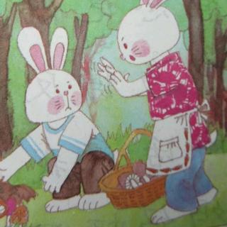 小兔子采蘑菇特别污图片