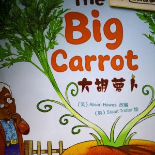 亲子共读《the big carrot》潘黛宁