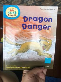Dragon danger by Bruno