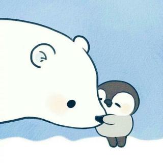 小企鹅和北极熊