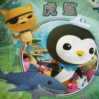 海底小纵队与虎鲨