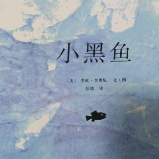 高佳乐打卡第66天《小黑🐟》