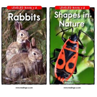 RAZ: Rabbits & Shapes in Nature k15