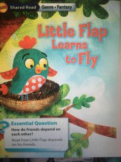 Little Flap Learns to Fly