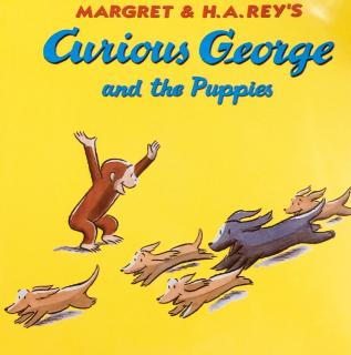 2018.5.28《Curious George：at the plane show》