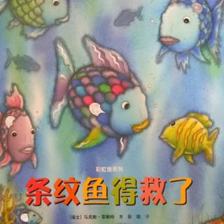 故事427彩虹鱼系列《条纹鱼🐠得救啦》