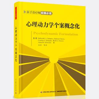 第二十一章 长期心理动力学治疗中的个案概念化（第333～346页