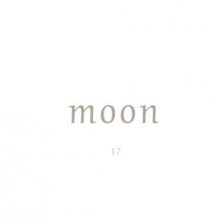 moon - 17