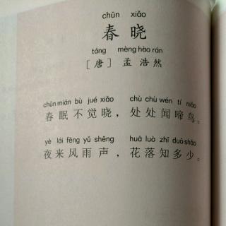 兴宝朗诵古诗36《春晓》