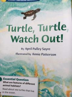 G2 Literature U2W3 - Turtle ,Turtle ,Watch Out！