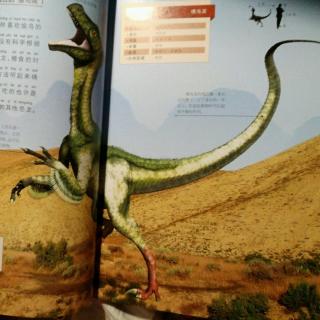 恐龙星球侏罗纪称霸【嗜鸟龙】