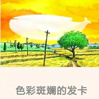 《色彩斑斓的发卡》