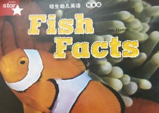 Fish facts