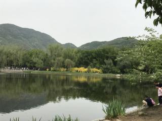 《张家川，中国最美的县》古尔邦