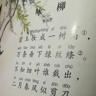 古诗【咏柳】