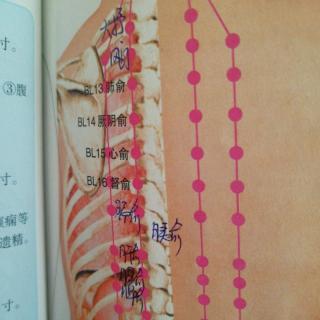 足太阳膀胱经大杼风门肺俞厥阴俞心俞督俞膈俞肝俞胆俞脾俞