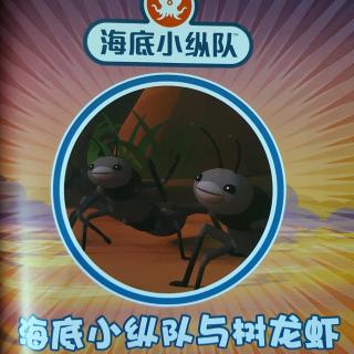 海底小纵队与树龙虾