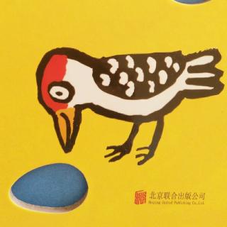 英国《笃笃笃》啄木鸟🐤啄洞的故事