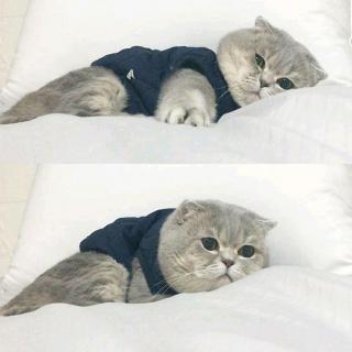 我在等一个人