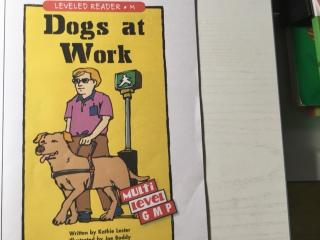 Dogs at work