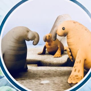 20-3 海底小纵队与象海豹
