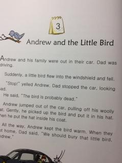 4-3 Andrew and Little Bird