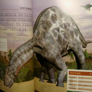 恐龙星球侏罗纪【叉龙】